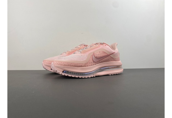 Nike Pegasus Premium-HQ2593-601
