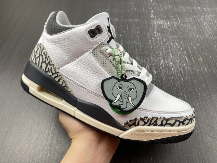 jordan 3 retro hide n