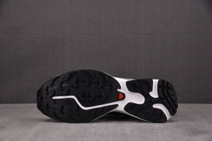 SALOMON SHOES