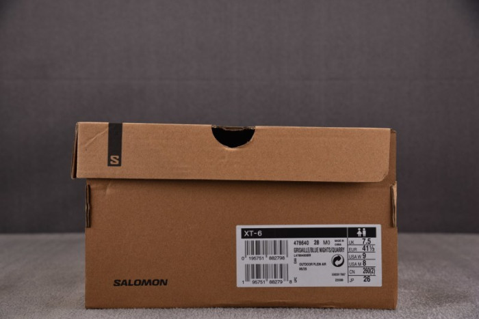 SALOMON SHOES