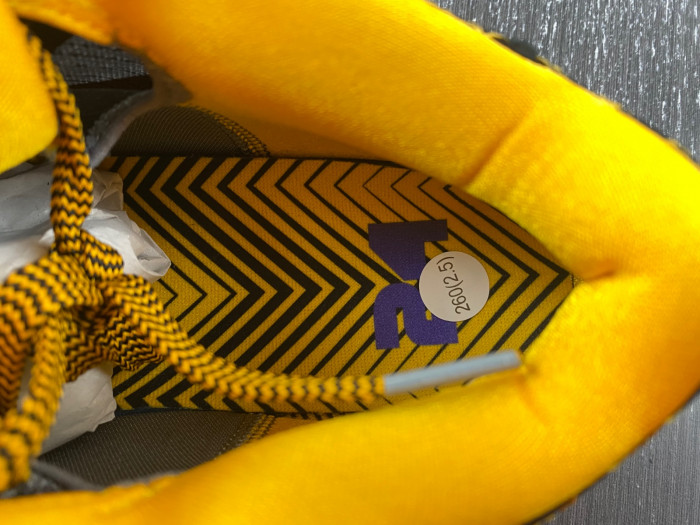nike kobe 4 protro carpe diem-av6339-001