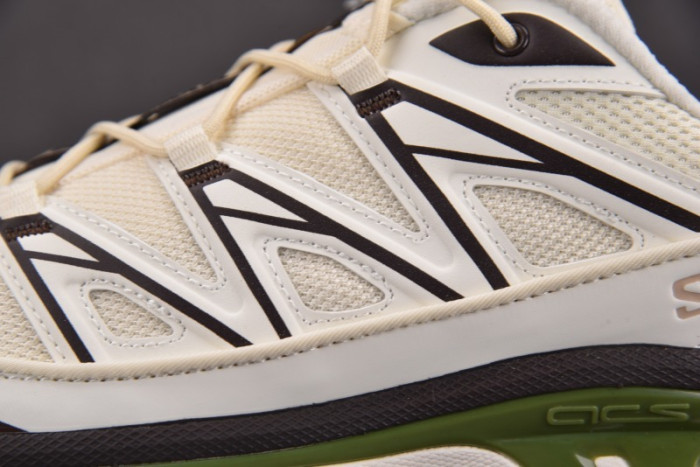 SALOMON SHOES