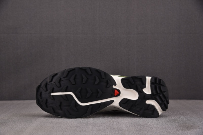 SALOMON SHOES
