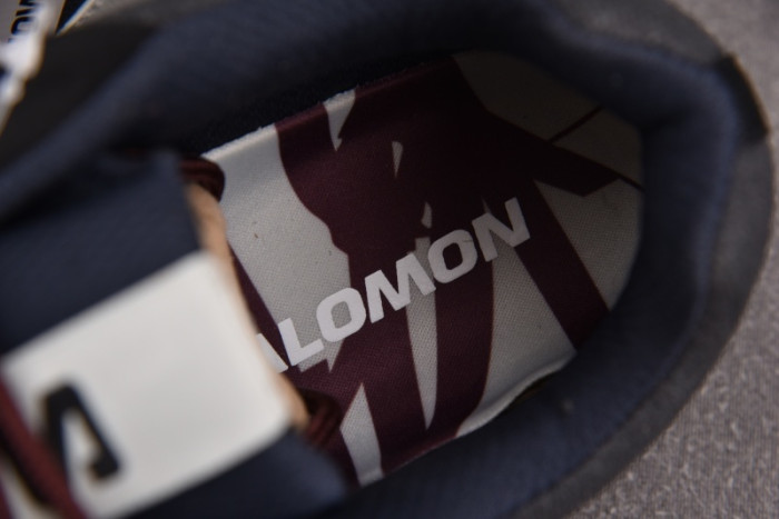 SALOMON SHOES