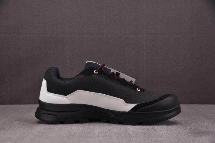 SALOMON SHOES