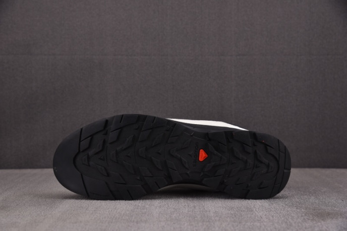 SALOMON SHOES