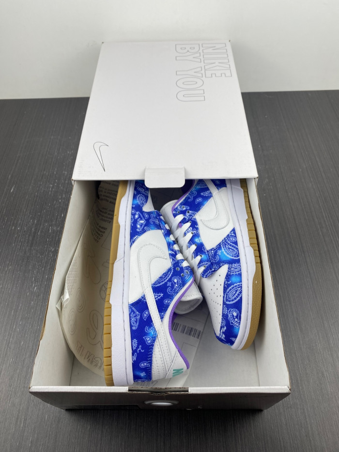 nike sb dunk low retro sp-ct5053-041