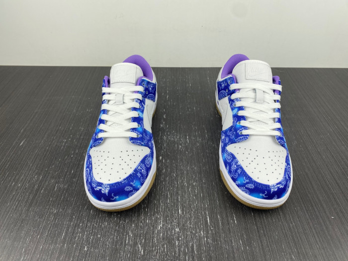 nike sb dunk low retro sp-ct5053-041