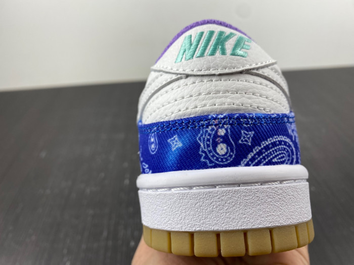 nike sb dunk low retro sp-ct5053-041