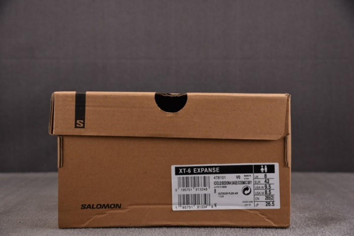 SALOMON SHOES