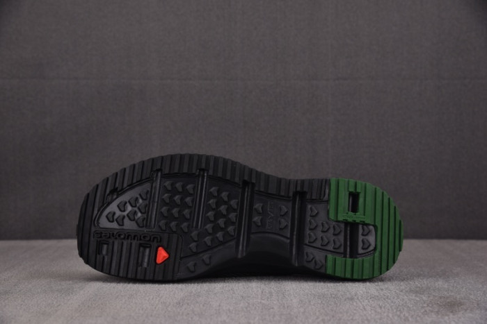 SALOMON SHOES