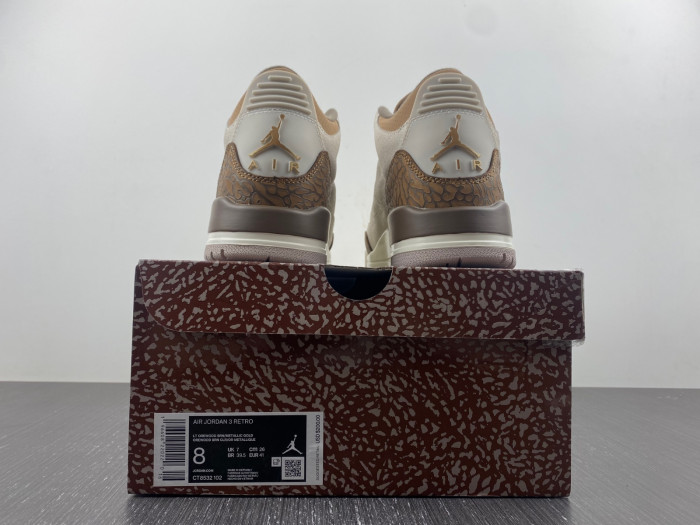 air jordan 3 palomino-ct8532-102
