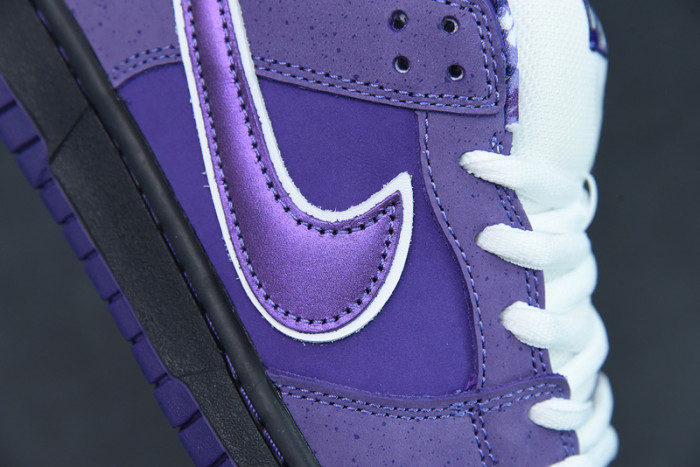 nike sb dunk low concepts purple lobster-bv1310-555