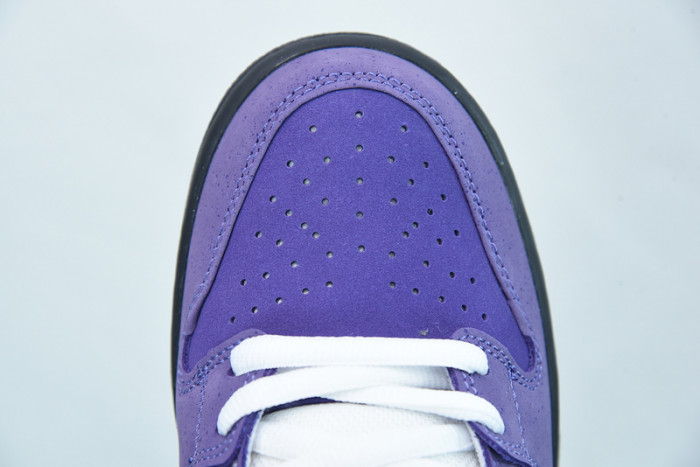 nike sb dunk low concepts purple lobster-bv1310-555