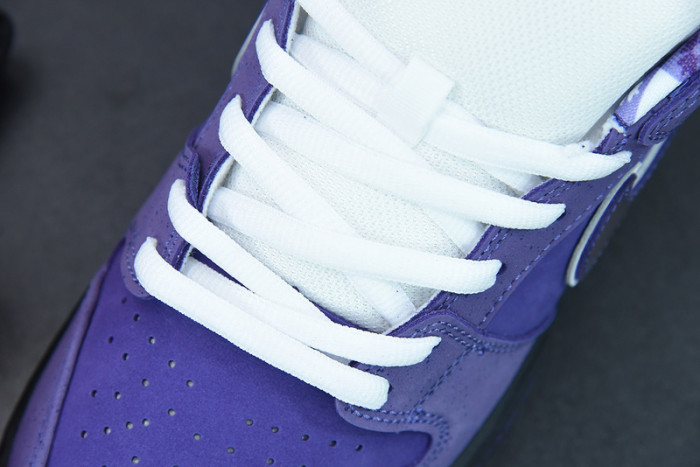 nike sb dunk low concepts purple lobster-bv1310-555