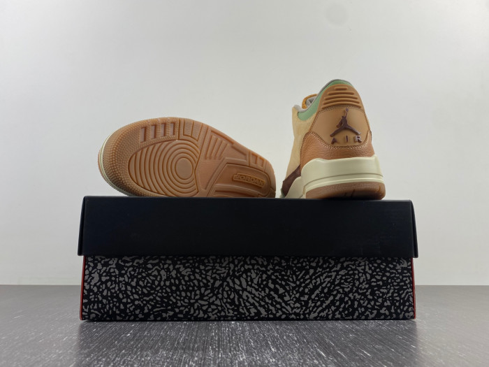 air jordan 3 -ct8532-102