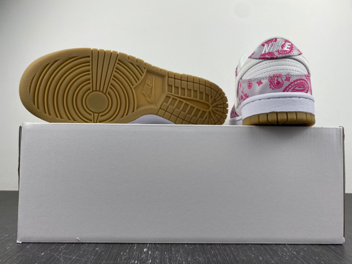nike sb dunk low retro sp-ct5053-061