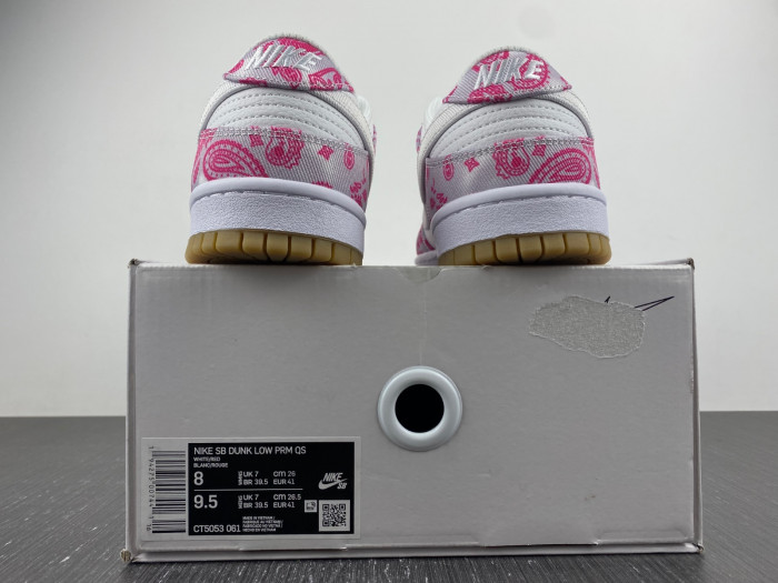nike sb dunk low retro sp-ct5053-061