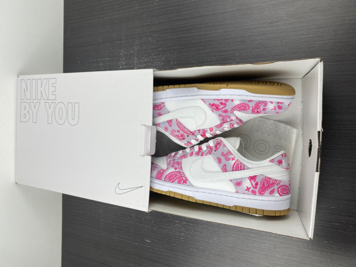 nike sb dunk low retro sp-ct5053-061