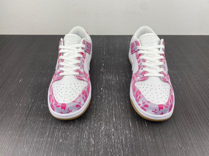 nike sb dunk low retro sp-ct5053-061