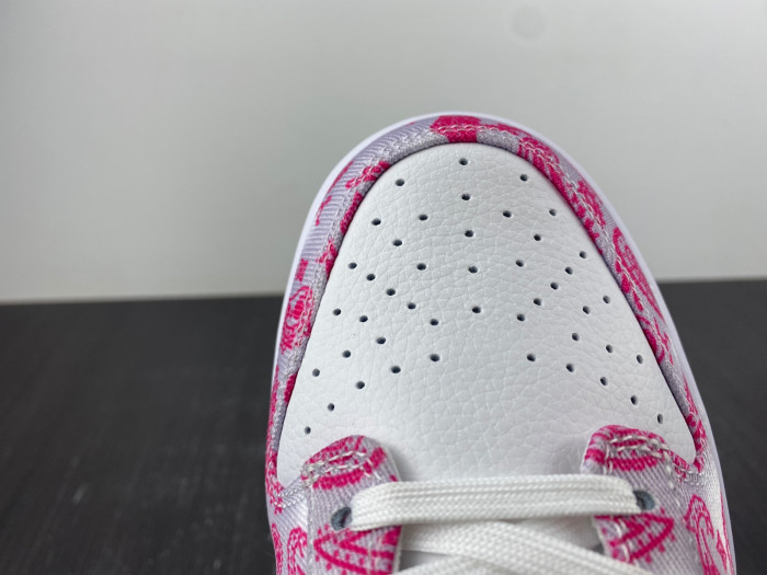 nike sb dunk low retro sp-ct5053-061