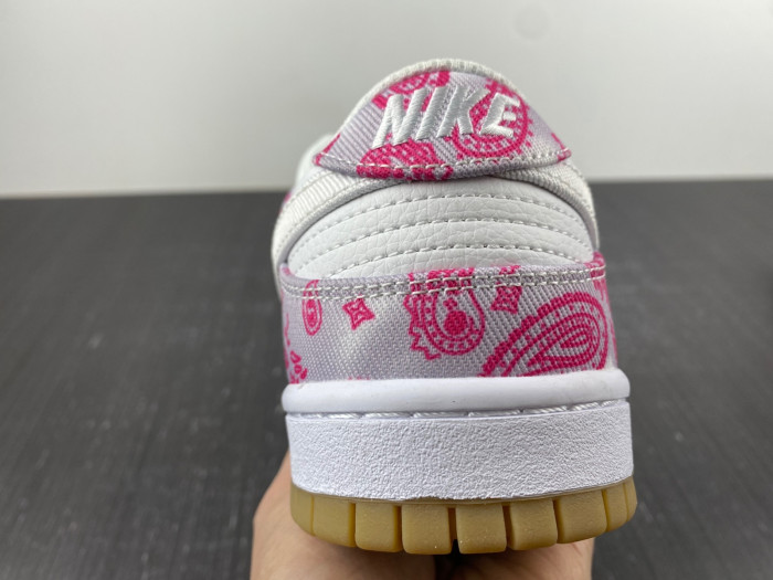 nike sb dunk low retro sp-ct5053-061