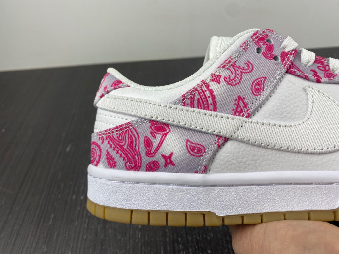 nike sb dunk low retro sp-ct5053-061